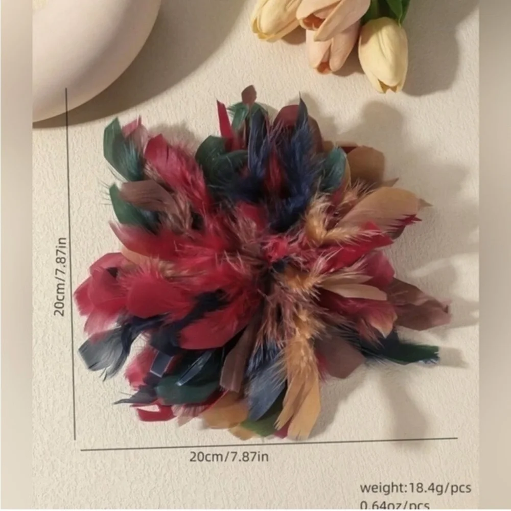 ✨NEW Multicolor Feather Brooch